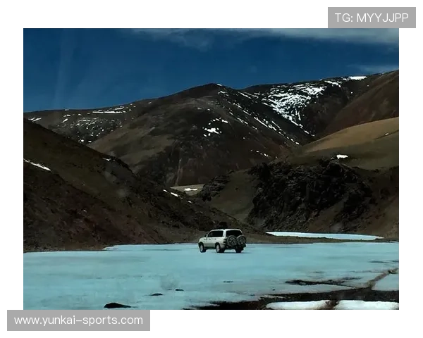 开云手机号码已存在的原因分析及避免重复注册的实用技巧